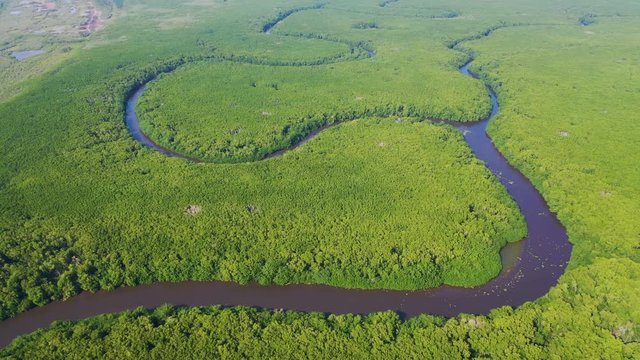 Mangrove, La Tovara National Park, Ramsar Site, Wetlands of International Importance, San Blas Town, Matanchen Bay, Pacific Ocean, Riviera Nayarit, Nayarit state, Mexico, Central America, America
