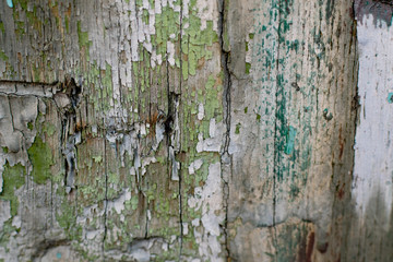Vintage boards painted with colored paint on the peeling surface. Weathered coating of wood material.