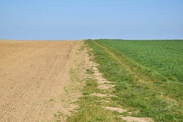 Abstract Tricolore of blue, green and brown at countryside Germany