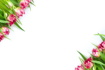 Top view on pink tulip flowers that lie diagonally on a white background. Concept flat layout, holiday, gift, postcard, international women's day, March 8th.