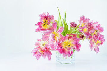 Naklejka na ściany i meble View of a glass rectangular vase with a bouquet of pink tulips on a white background. Concept background, flowers, holiday.