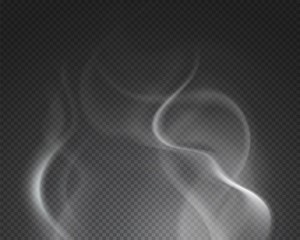 Hot steam. Isolated foggy smoke cloud. Burning drink food vapor on transparent background. Spooky fog, water mist waves vector illustration. Cloud smoke transparent, hot light steam motion