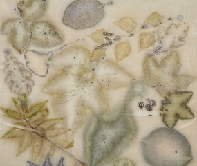 Fragment of hand-dyed fabric using eco-print technique