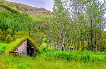 Beautiful Iceland highlands with moss-covered volcano formations