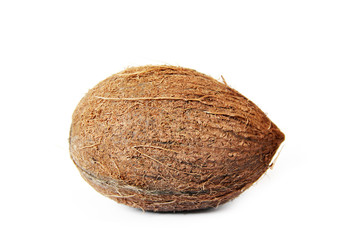 Coconut on a white background. Coconut close up