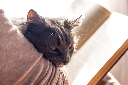 Elderly Woman Reading A Book While Holding A Cat_