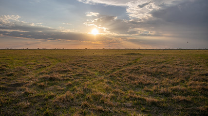 sunset over the field in savuti national park botswana