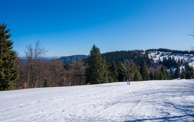 Obraz premium Meadows at the end of winter with snow and mountains in the background, beskydy czech