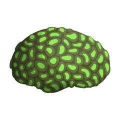 Coral vector icon.Cartoon vector icon isolated on white background coral.