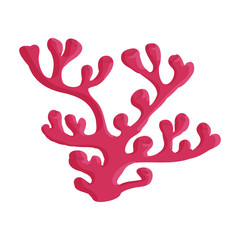 Coral vector icon.Cartoon vector icon isolated on white background coral.
