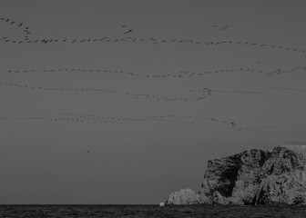 islas ballestas