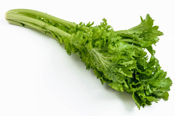 爽やかな味　ワサビ菜