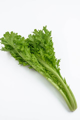 爽やかな味　ワサビ菜