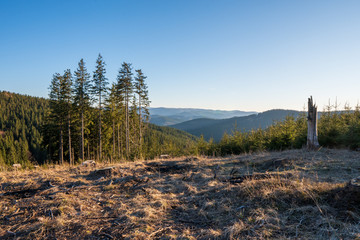 meadow in the mountains with stromz around and mountain view