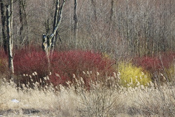 natura  © beata