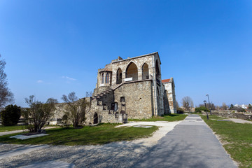 Fototapeta premium The castle of Tata on a sunny spring day