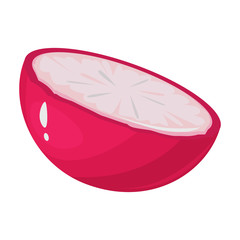 Radish slice vector icon.Cartoon vector icon isolated on white background radish slice.