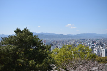 松山城　桜