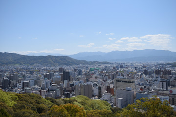 Fototapeta na wymiar 松山城　桜