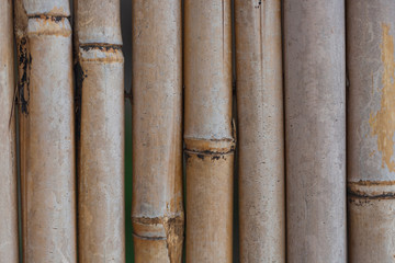 Bamboo fence close up, background, texture