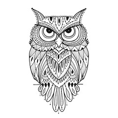 Ornate owl, coloring page for your design