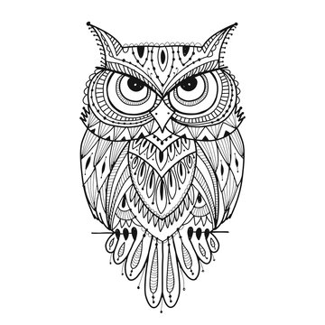 Ornate owl, coloring page for your design
