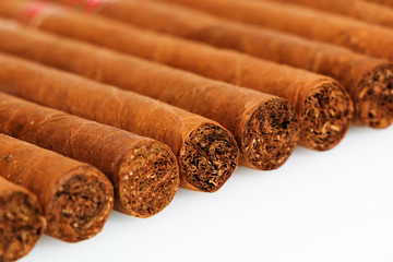 Cuban cigars on a white background