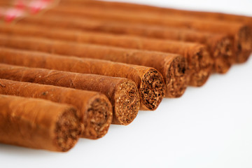 Cuban cigars on a white background