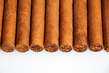 Cuban cigars on a white background