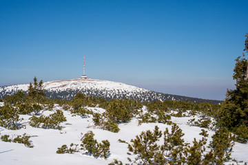 transmitter on mountain Praded in Jeseniky in winter, Czech Jesenik
