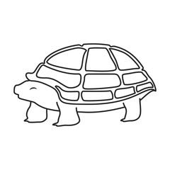 Sea turtle vector icon.Outline vector icon isolated on white background sea turtle.