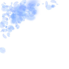 Dark blue flower petals falling down. Good-looking