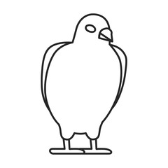 Pigeon vector icon.Outline vector icon isolated on white background pigeon.