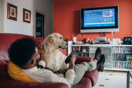 Young handsome black man sitting couch indoor at home with dog watching tv