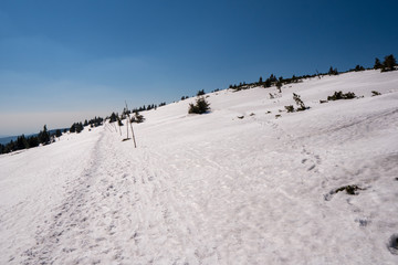 end of winter in mountains last remains after snow, czech jeseniky