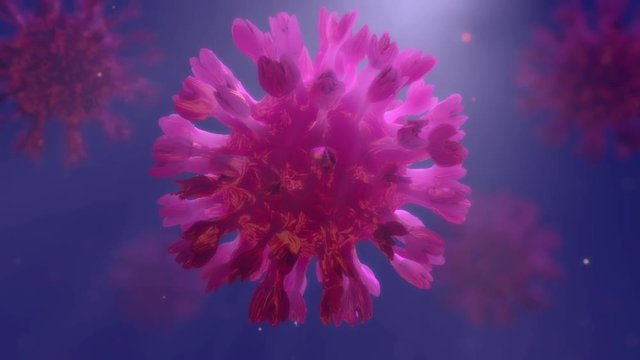 Virus unter Mikroskope, Coronavirus