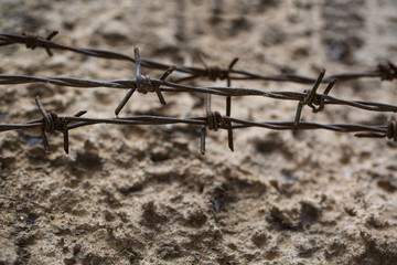 Protective barbed wire on a gray concrete fence. 