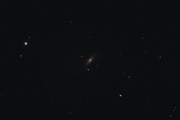 The Spindle Galaxy Messier 102 in the constellation Draco photographed with a Maksutov telescope from Mannheim in Germany.