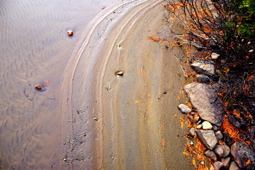Beach shore sand in autumn