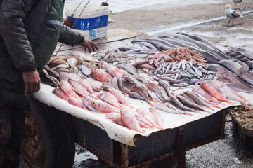 Hombre comprando pescado fresco a la venta en un puesto callejero en Essaouira, Marruecos