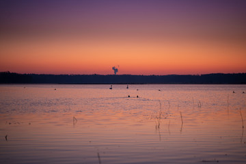 Naklejka premium Morning sunrise at the lake with birds and floating swans