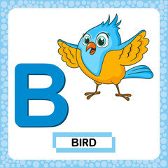 Letter B uppercase with cute cartoon character Bird isolated on white background. Funny colorful flashcard Zoo and animals ABC alphabet. Education card for kids learning English vocabulary, alphabet