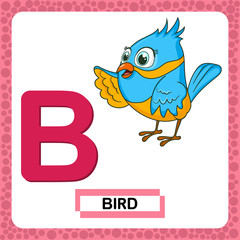 Letter B uppercase with cute cartoon character Bird isolated on white background. Funny colorful flashcard Zoo and animals ABC alphabet. Education card for kids learning English vocabulary, alphabet