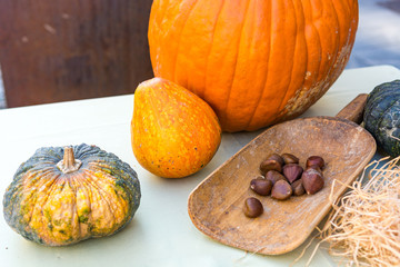 Autumn harvest with pumpkin and sweet chestnuts.