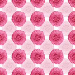 Pink ranonkel repeat pattern print background