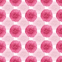 Foto auf Leinwand Pink ranonkel repeat pattern print background © Doeke