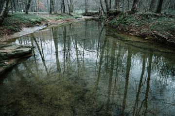 creek in the woods