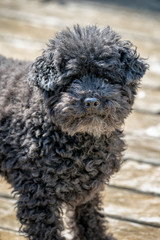 Miradas que lo dicen todo