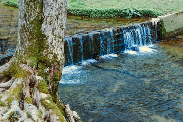 waterfall in the forest