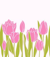 Vector vintage cartoon illustration with pink tulips on white background. Spring mood. Flowers. Flat design, for banners, posters, postcards. World Women's Day. All elements are isolated.
